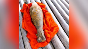 সীমান্তে পরিত্যক্ত মর্টার শেল উদ্ধার