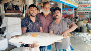 জালে ধরা পড়ল বিশাল কোরাল