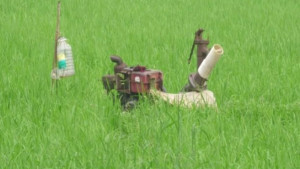 জ্বালানি তেলের চরম সংকটে বিপাকে কৃষক