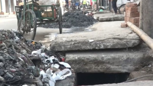 সৌন্দর্যবর্ধন প্রকল্প এখন গলার কাঁটা