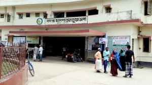 মৌমাছির কামড়ে প্রাণ গেল নৈশপ্রহরীর