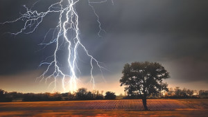 বজ্রপাতে মৃত্যু কমাতে যেসব উদ্যোগ নিচ্ছে সরকার