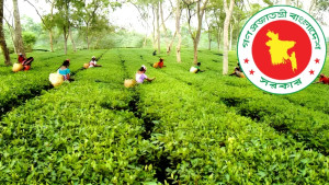 একটি জাতীয় দিবসের তারিখে পরিবর্তন আনল সরকার