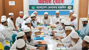 গণভোটের রায় উপেক্ষা করছে বিএনপি: মামুনুল হক