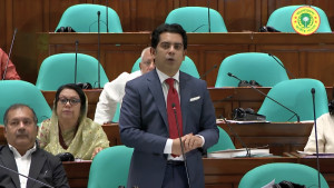 আ. লীগ আমলে বিদ্যুৎ খাতে লাগামহীন দুর্নীতি হয়েছে: আন্দালিব রহমান