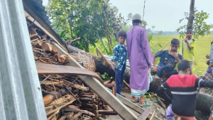 গভীর রাতে গাছচাপায় ঘুমন্ত মা ও ২ মেয়ের মৃত্যু