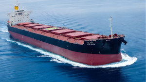 ওমান উপকূলে ভারতের ২ জাহাজে ইরানের গুলি, নয়াদিল্লির প্রতিবাদ