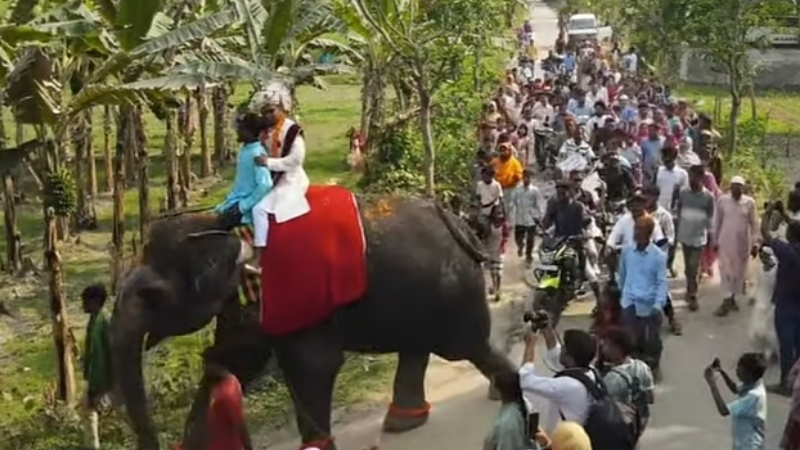 বর গেলেন হাতির পিঠে, নববধূকে নিয়ে ফিরলেন ঘোড়ার গাড়িতে