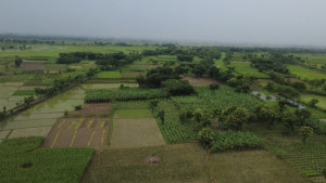 বাংলাদেশি বৃদ্ধকে নিয়ে গেছে বিএসএফ, পাল্টা দুই ভারতীয়কে তুলে আনলেন গ্রামবাসী