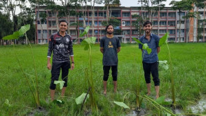 মাঠে খেলাধুলা বন্ধ থাকায় কচু লাগিয়ে শিক্ষার্থীদের প্রতিবাদ