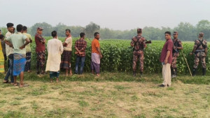 মেহেরপুর সীমান্তে ৫ জনকে পুশইনের চেষ্টা