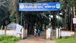 বোয়ালমারীতে গাছের গুঁড়ির নিচে চাপা পড়ে শিশুর মৃত্যু