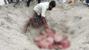 যমুনার চরে ঘোড়া জবাই, মাংস ঢাকায় পাচারের সময় আটক ২