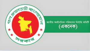 প্রধানমন্ত্রীকে সভাপতি করে একনেক গঠন, আরও যারা আছেন