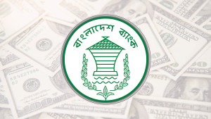 রেকর্ড ভাঙলেন প্রবাসীরা, রেমিট্যান্স ছাড়াল ৩০ বিলিয়ন ডলার