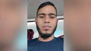 বিড়ালকে বাঁচাতে গিয়ে প্রাণ গেল মোটরসাইকেল আরোহীর