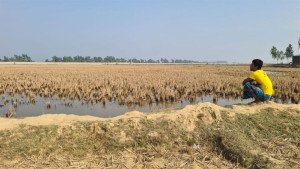 মিয়ানমারে সংঘাত: হুমকিতে সীমান্তবাসীর জীবন ও জীবিকা