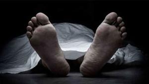 বগুড়ার শেরপুরে সড়ক দুর্ঘটনায় সিএনজি যাত্রী নিহত