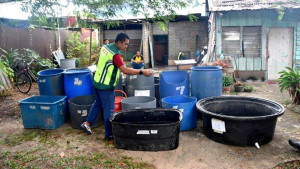 মালয়েশিয়ায় বিপুল কচ্ছপ উদ্ধার, বাংলাদেশি আটক
