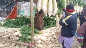 লিভারের যত্নে ‘সুপারহিরো’ মুলা