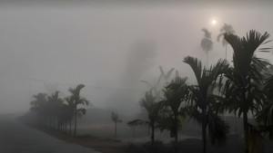 ১৭ জেলায় শৈত্যপ্রবাহ, ঘন কুয়াশার আভাস