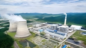 অনুমতি ছাড়াই রামপাল বিদ্যুৎকেন্দ্রের ৯ ভারতীয় কর্মকর্তার দেশত্যাগ