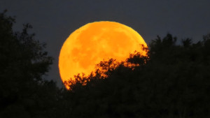 উঁকি দিচ্ছে বছরের প্রথম সুপারমুন