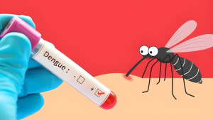 ডেঙ্গুতে আরও ১ মৃত্যু