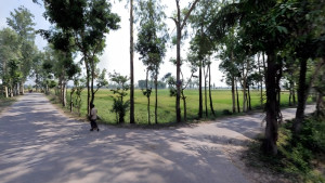 রাত নামলেই যে সড়কে নেমে আসে বিভীষিকা