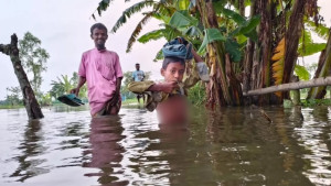উত্তরের ৫ জেলায় এখনো পানিবন্দি ২০ হাজার পরিবার