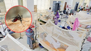 ডেঙ্গুতে আরও একজনের মৃত্যু, ২৪ ঘণ্টায় হাসপাতালে ভর্তি ৪৫০