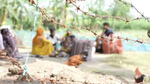 বাঙালি মুসলমানদের বাংলাদেশে ঠেলে দিচ্ছে ভারত: এইচআরডব্লিউ