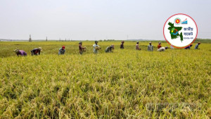 কৃষিখাতে ২৮ হাজার ৮৮১ কোটি টাকার বরাদ্দ প্রস্তাব