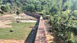 টেকনাফে হাতির করিডোরে সীমানা প্রাচীর, হুমকিতে জীববৈচিত্র্য