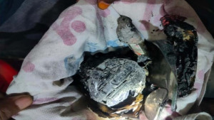 বিএনপির ইউনিয়ন কার্যালয়ে ককটেল বিস্ফোরণ