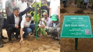 ২৫ কোটি বৃক্ষরোপণ কর্মসূচির উদ্বোধন প্রধানমন্ত্রীর
