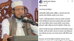 স্ত্রীকে হত্যার হুমকি ও শ্যালককে মারধরের ঘটনায় আমির হামজার পোষ্ট