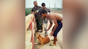 কুকুরের গলায় ইট বেঁধে নদীতে ফেলা যুবক আটক