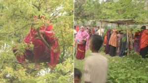 আবারও তেঁতুল গাছের মগডালে সেই গৃহবধূ, একনজর দেখতে মানুষের ভিড়