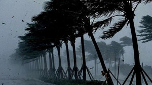 রাতের মধ্যে ১৭ জেলায় ঝড়সহ বজ্রবৃষ্টির শঙ্কা