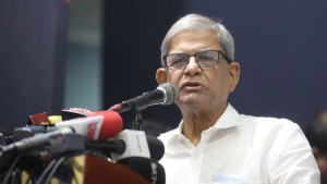 দেশে নৈরাজ্য ছড়াতে চক্রান্ত চলছে: মির্জা ফখরুল