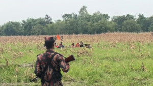 তৎপর বিজিবি, বেকায়দায় বিএসএফ