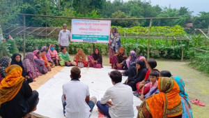 নেত্রকোনায় খাদ্য সার্বভৌমত্ব প্রতিষ্ঠায় হাল ধরেছেন একদল কৃষক-কৃষাণি