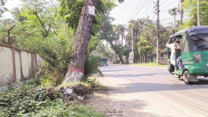 সড়কের পাশে পড়ে ছিল ফুটফুটে নবজাতকের মরদেহ