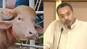 ‘ডোনাল্ড ট্রাম্পকে’ চিড়িয়াখানায় পাঠানোর কারণ জানালেন মাহদী আমিন