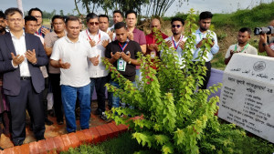 প্রত্যেককে অন্তত একটি গাছ লাগানোর আহ্বান প্রধানমন্ত্রীর