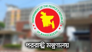 রোহিঙ্গাদের জন্য আরও জমি চায় জাতিসংঘ, নাকচ বাংলাদেশের