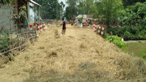 রাস্তায় শুকাতে দেওয়া খড়ে চাকা পিছলে প্রাণ গেল শ্যালক-দুলাভাইয়ের