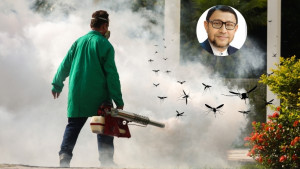ডেঙ্গুতে আরও ১ মৃত্যু, মোকাবিলায় সব প্রস্তুতি গ্রহণের দাবি সরকারের