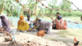 বাঙালি মুসলমানদের বাংলাদেশে ঠেলে দিচ্ছে ভারত: এইচআরডব্লিউ